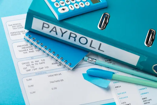 Payroll Compliance Solutions in Chennai (India)