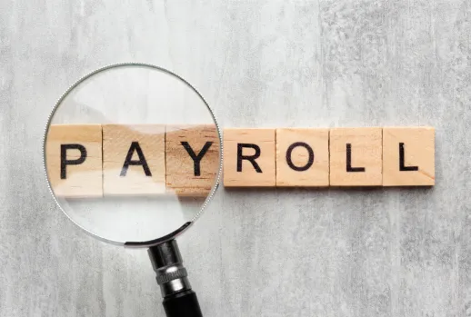Payroll Services Solutions in Chennai (India)